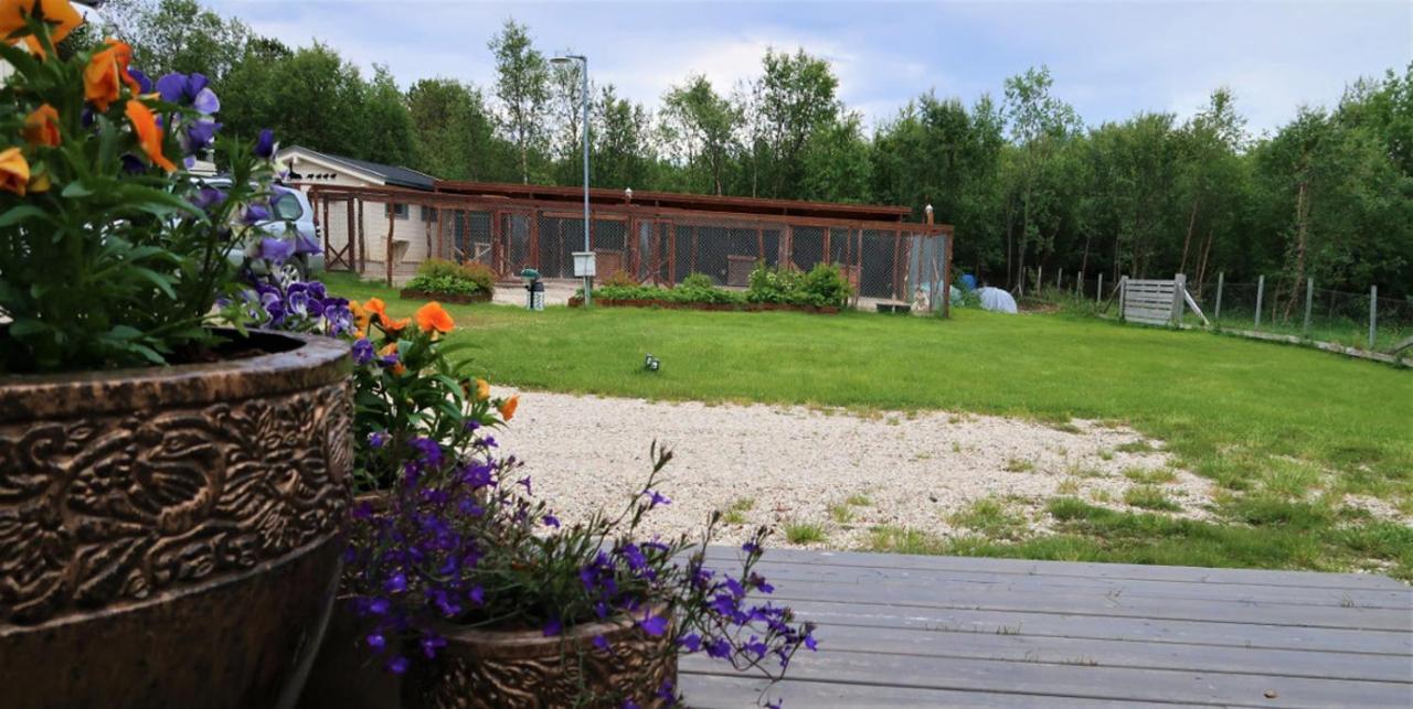 Fjellivet Villa Lakselv Exterior foto